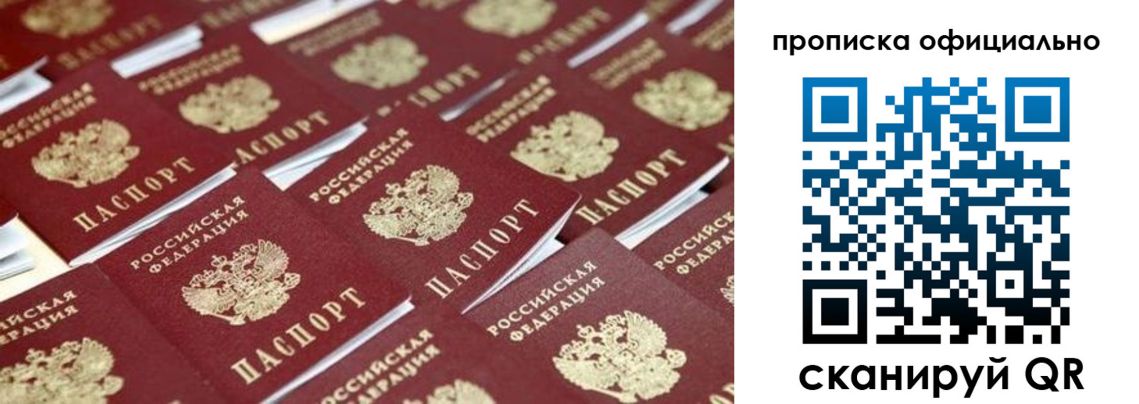 прописка гарантия в Солнечногорске